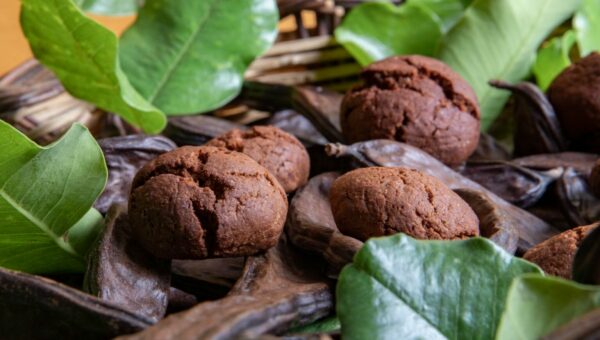 Biscotti al carrubo