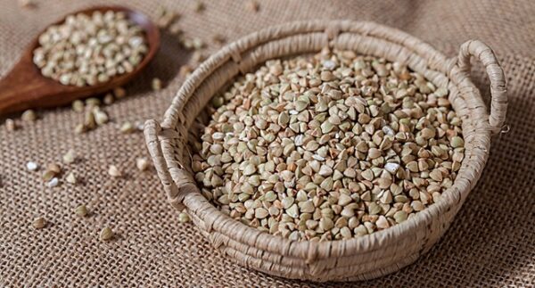 Grano saraceno